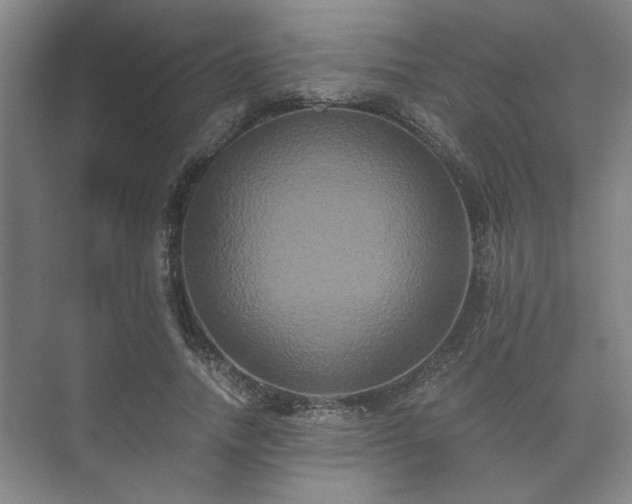 X0000073410738200608040958