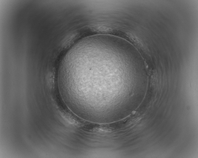 X0000073410739200608040958