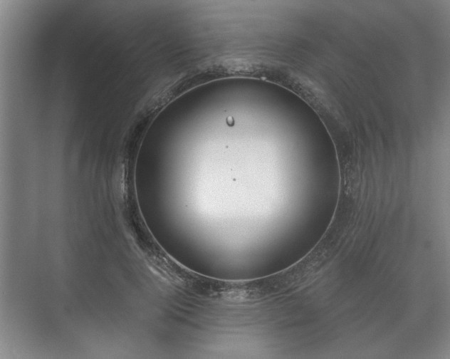 X0000073410740200608040958