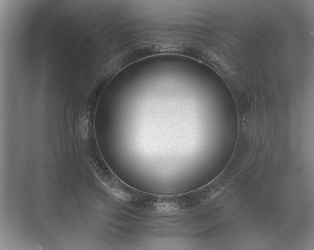 X0000073410741200608040958