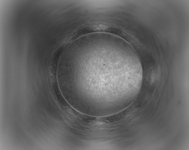 X0000073410743200608040958