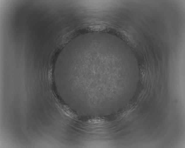 X0000073410745200608040958