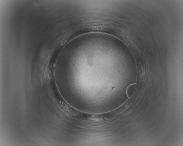 X0000073410746200608040958