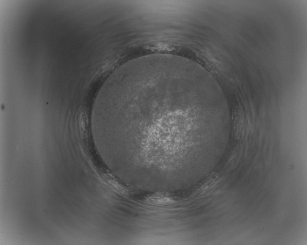 X0000073410747200608040958