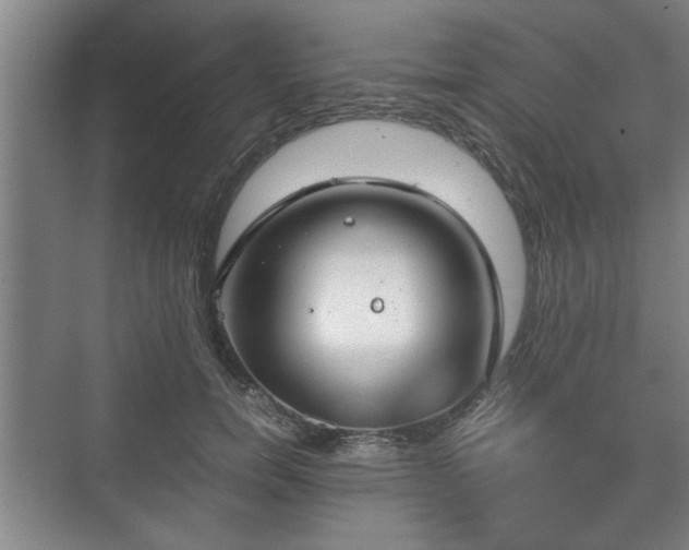 X0000073410750200608040958