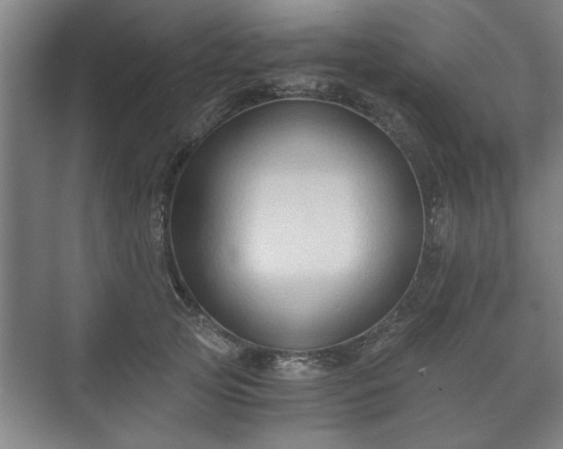 X0000073410753200608040958