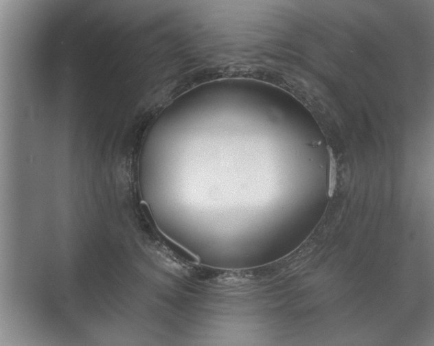 X0000073410756200608040958