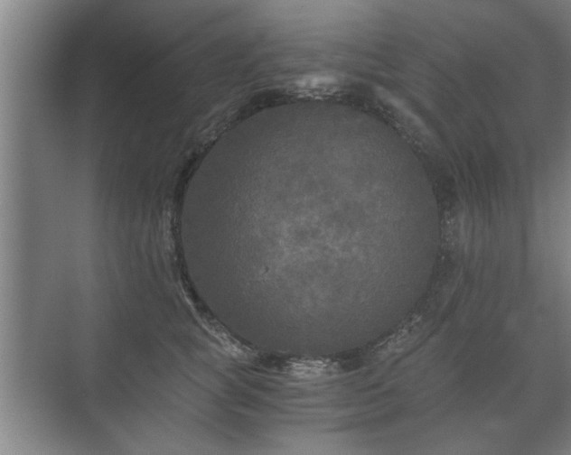 X0000073410757200608040958