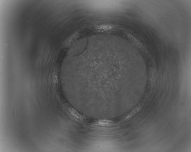 X0000073410758200608040958