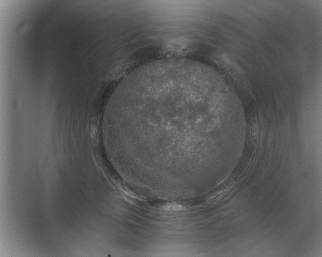 X0000073410759200608040958