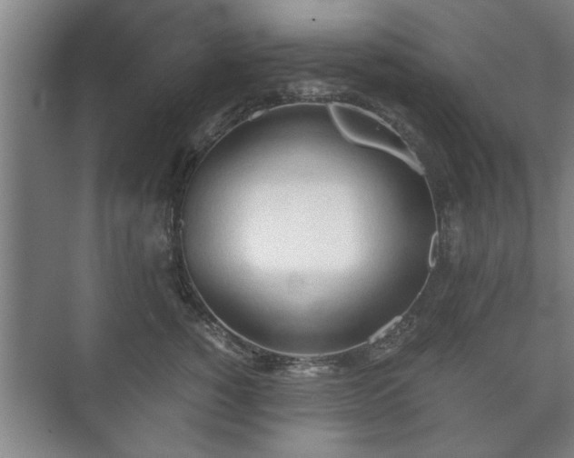 X0000073410760200608040958