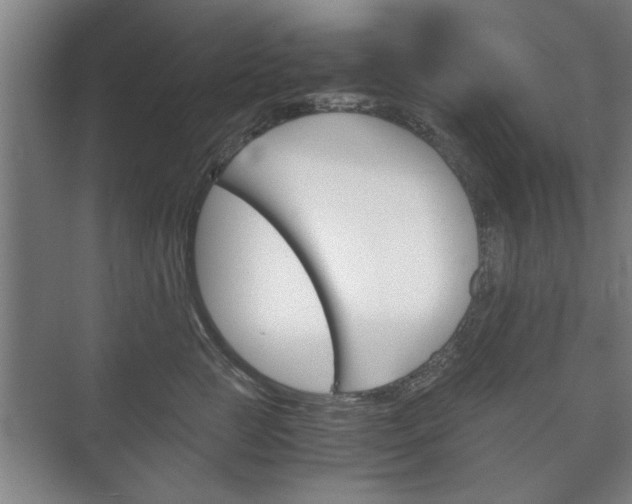 X0000073410761200608040958