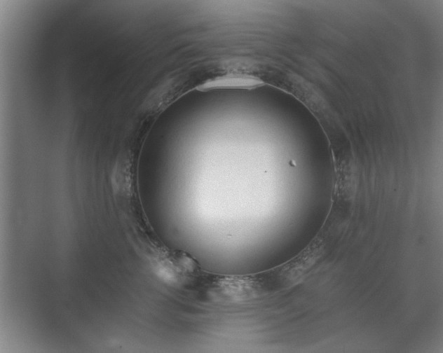 X0000073410762200608040958