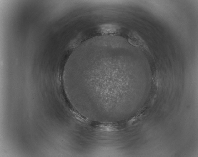 X0000073410763200608040958