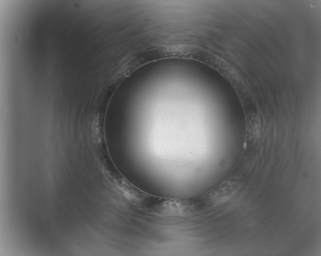 X0000073410764200608040958