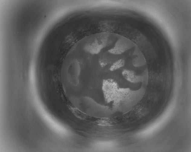 X0000073410765200608040958