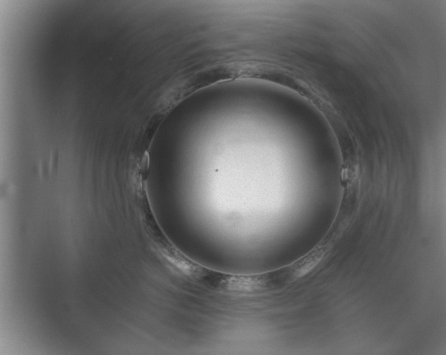 X0000073410766200608040958