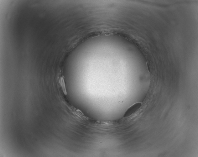 X0000073410768200608040958