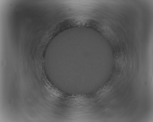 X0000073410769200608040957