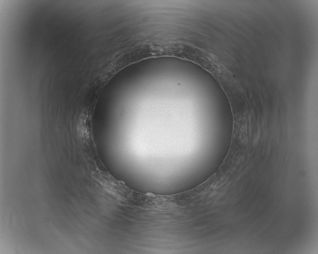 X0000073410770200608040957