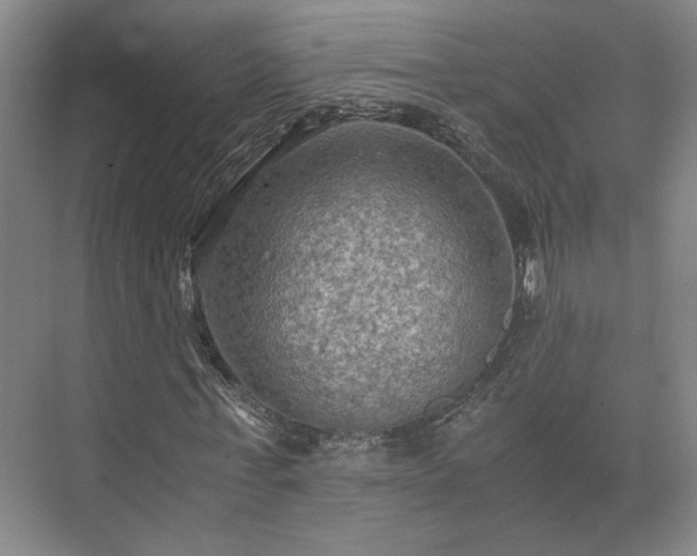 X0000073410771200608040957