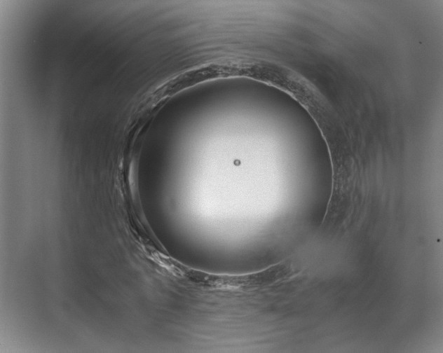 X0000073410773200608040957