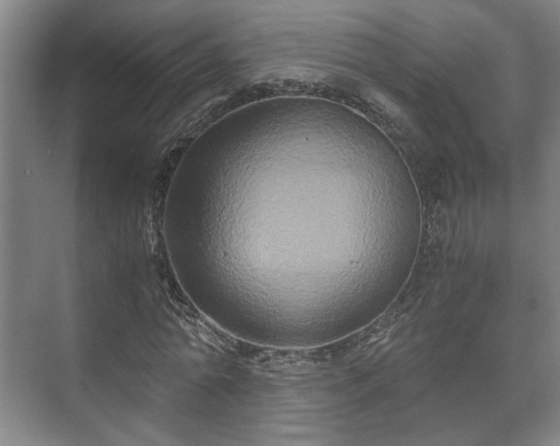 X0000073410774200608040957