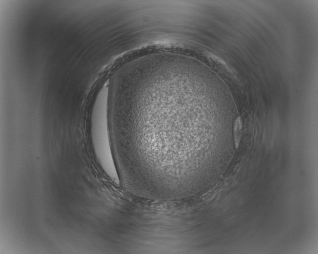 X0000073410776200608040957