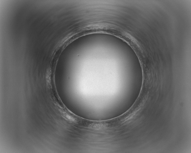 X0000073410778200608040957