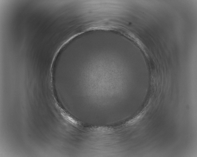 X0000073410779200608040957