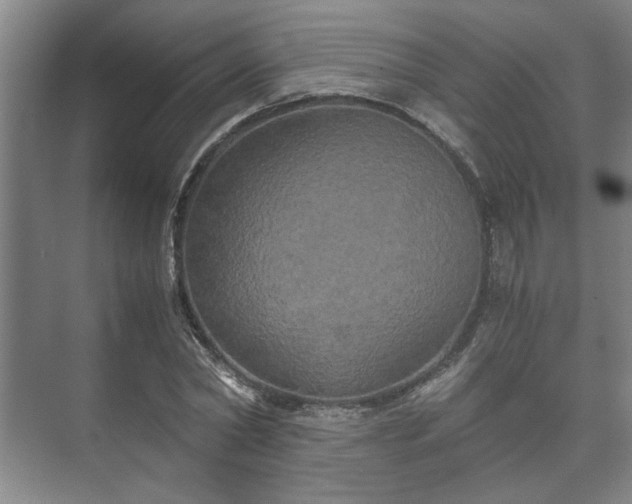 X0000073410782200608040957