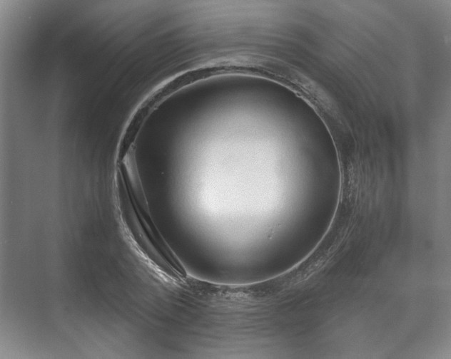 X0000073410784200608040957