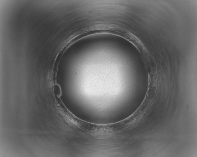 X0000073410786200608040957