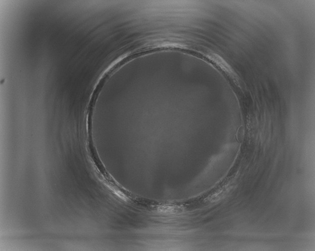 X0000073410790200608040957