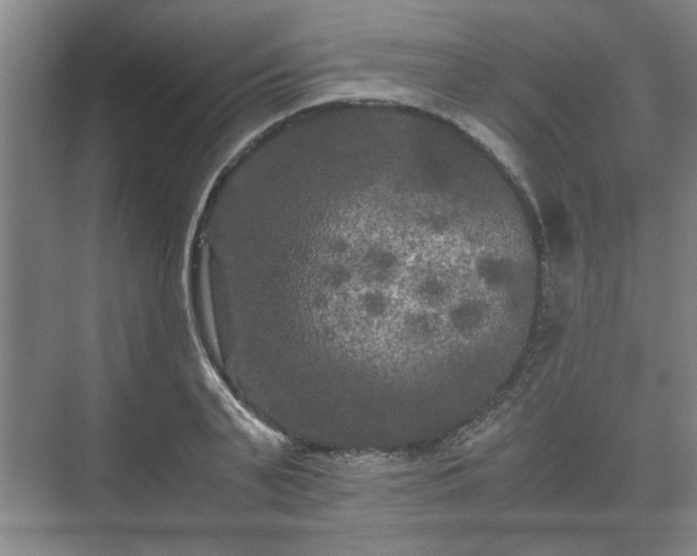 X0000073410791200608040957