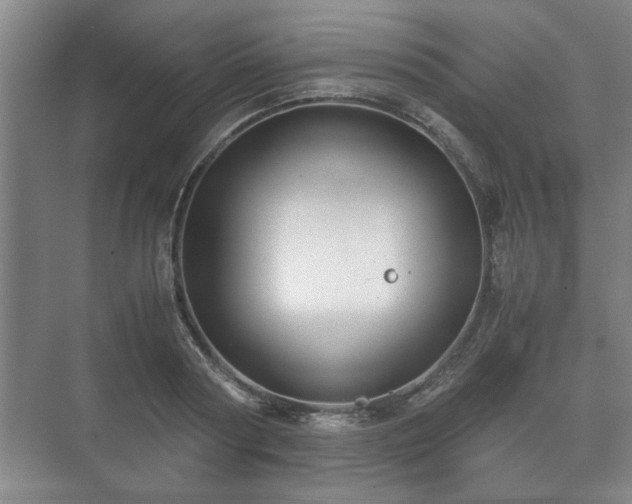 X0000073410794200608040957