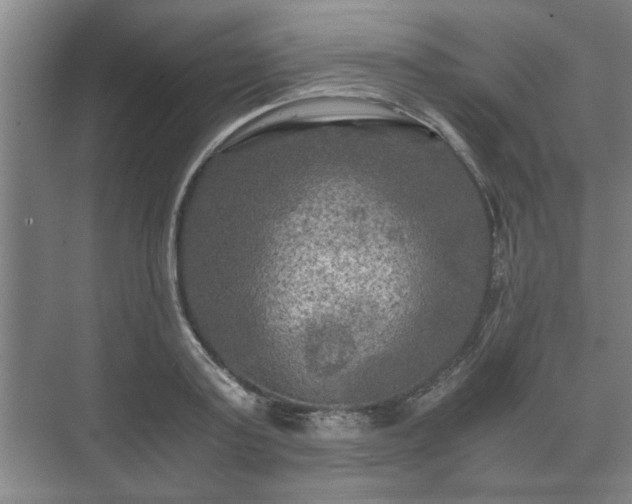 X0000073410795200608040957