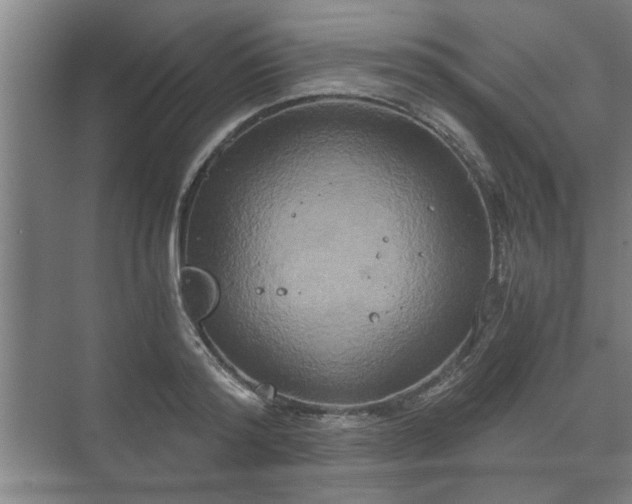 X0000073410796200608040957