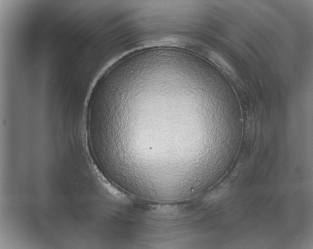 X0000073410800200608040957