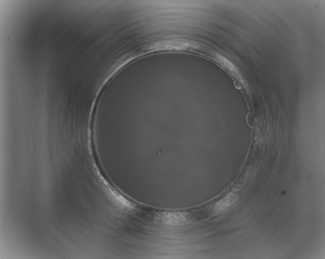 X0000073410802200608040957