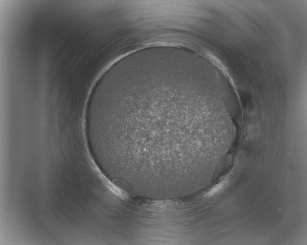 X0000073410803200608040957