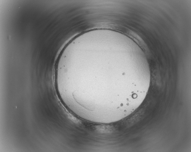 X0000073410804200608040957