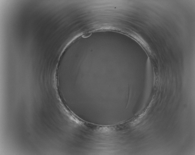 X0000073410806200608040957