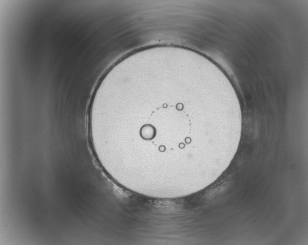 X0000073410807200608040957