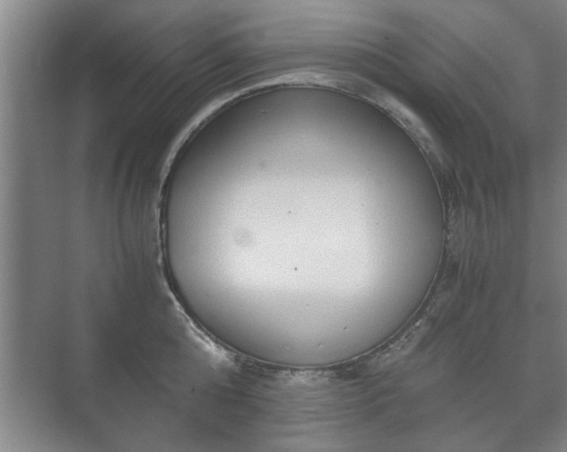 X0000073410808200608040957