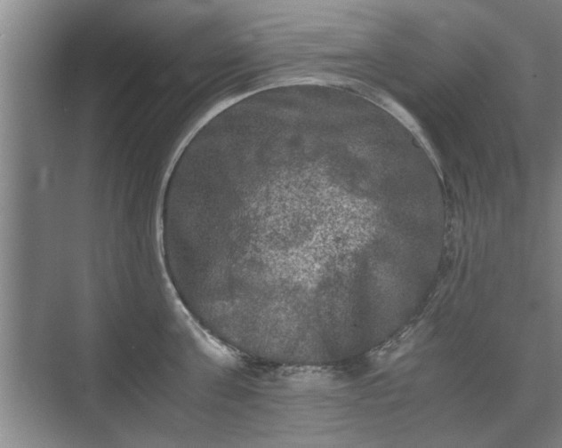 X0000073410811200608040957