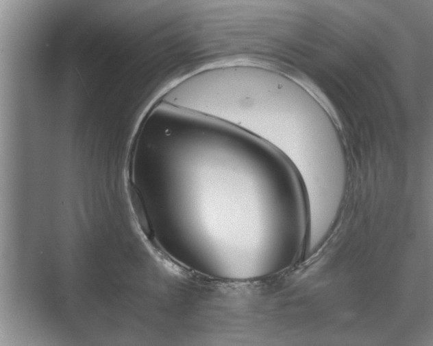 X0000073410813200608040957