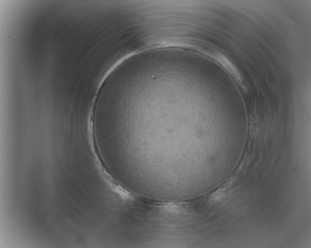 X0000073410814200608040957