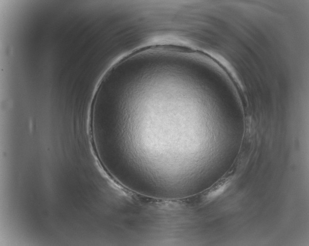 X0000073410815200608040957