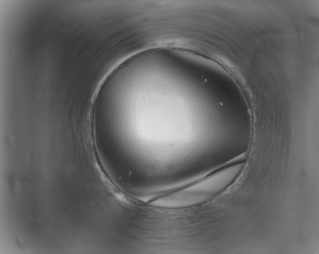 X0000073410816200608040957